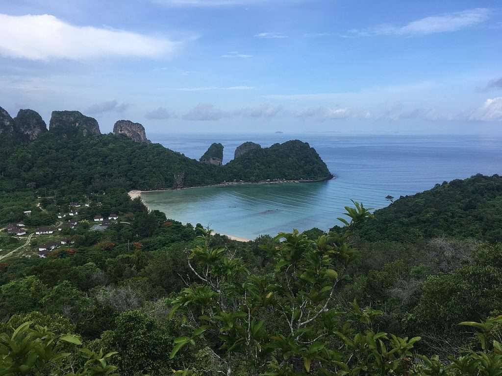 Grüne Bucht mit Blick aufs Meer