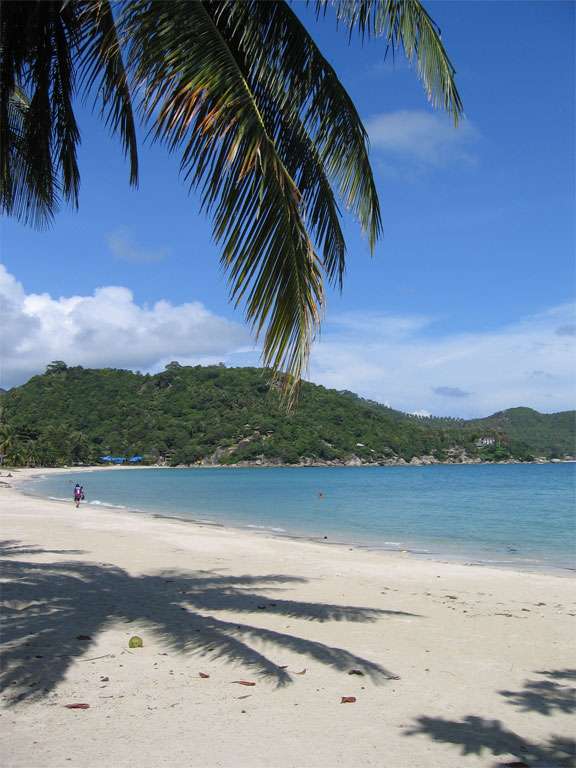 Strand mit blauem Meer, Palme und viel Grün