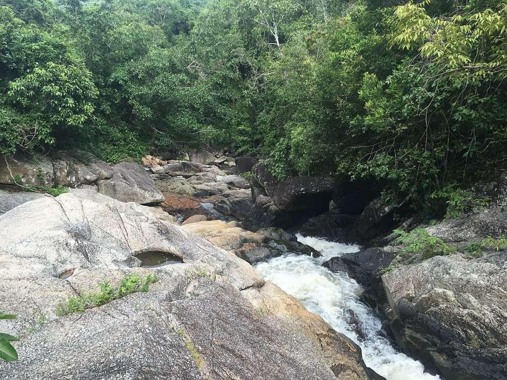 Steinige Umgebung mitten im Grün mit Flüsschen