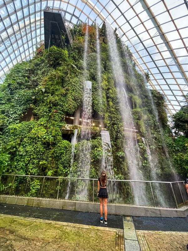 Cloud Forest